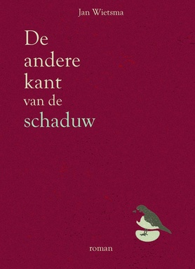 De andere kant van de schaduw