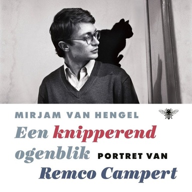 Een knipperend ogenblik: Portret van Remco Campert