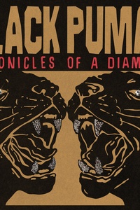 Chronicles of a Diamond