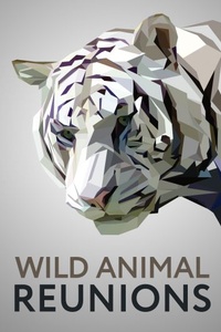 Wild Animal Reunion