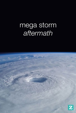 Mega Storm Aftermath