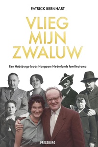 Vlieg, mijn zwaluw