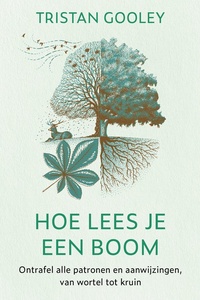 Hoe lees je een boom