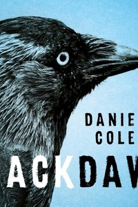 Jackdaw