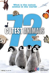 72 Cutest Animals (Seizoen 1)