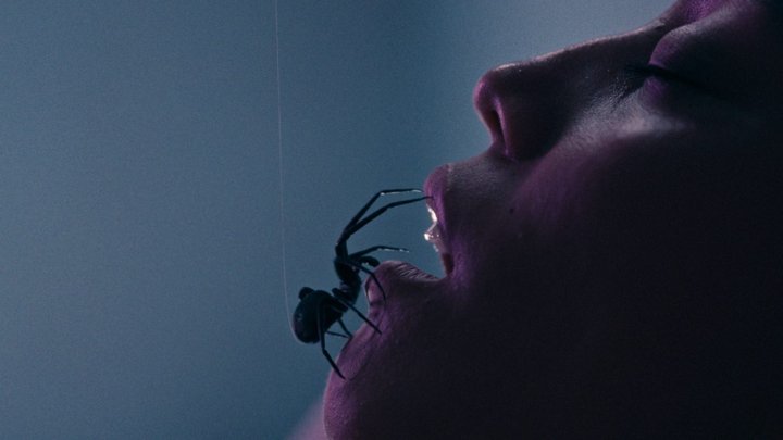 Crawlers Review
