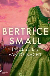 In de stilte van de nacht