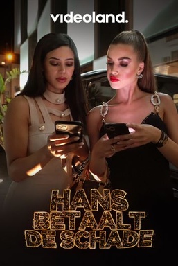 Hans Betaalt De Schade