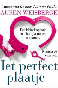 Het perfecte plaatje