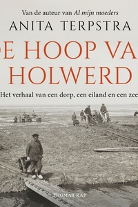 De hoop van Holwerd: Het verhaal van een dorp, een eiland en een zee