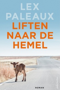Liften naar de hemel