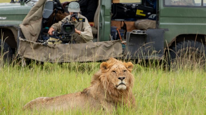 Nieuwe serie LION nu te zien op Disney+: alle afleveringen direct online