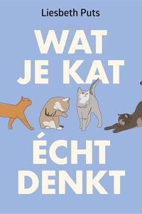 Wat je kat écht denkt: Alles over de lichaamstaal van je kat