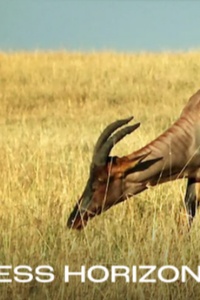 Endless Horizon