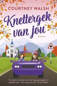 Roadtrip Romance 2 - Knettergek van jou