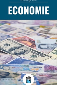 Reeks Management- en Businessstudies - Economie