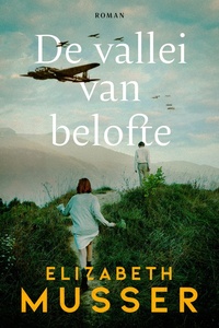 De vallei van belofte