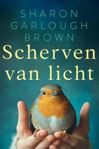 Scherven van licht