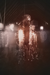 It Still Moves (Deluxe Reissue)