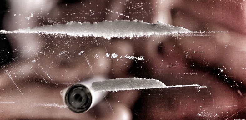 High: How Drugs Work