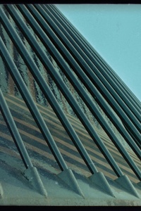 The Art of Staying Half Awake