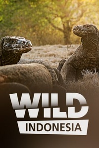 Wild Indonesia