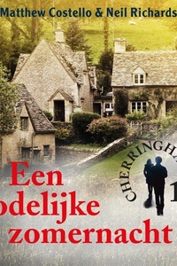 Een dodelijke zomernacht