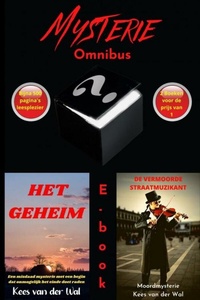 Het Geheim - De Vermoorde Straatmuzikant