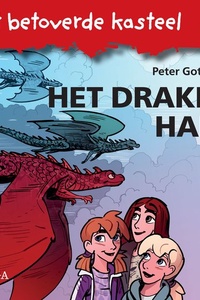 Het betoverde kasteel 10 - Het Draken Hart