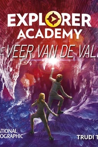 De veer van de valk