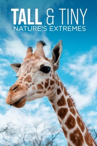 Tall & Tiny: Nature's Extremes