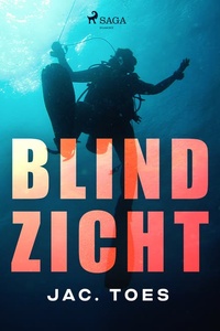 Blind zicht