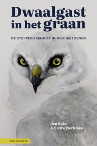 Dwaalgast in het graan