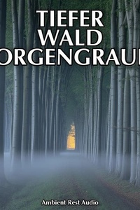 Tiefer Wald Morgengrauen: 8 Stunden Fruehvogelchor Und Nebel Im Buchenwald
