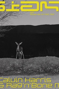 Giant (with Rag'n'Bone Man)