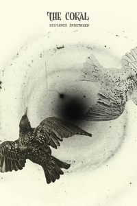 The Coral: Distance Inbetween
