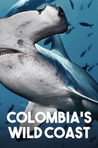 Colombia's Wild Coast