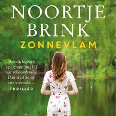 Zonnevlam