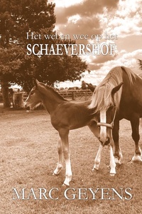 De Boetemonnik 6 - Het wel en wee op het Schaevershof