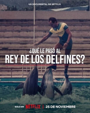 ¿Qué le pasó al rey de los delfines?