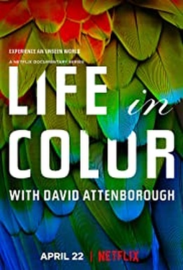 Life in Colour with David Attenborough