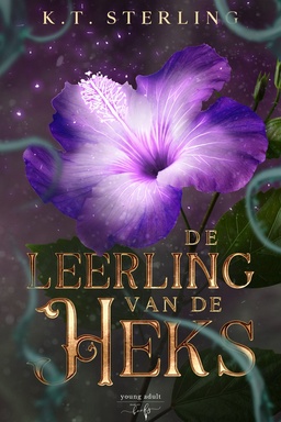 Dochters van de fae 2 - De leerling van de heks