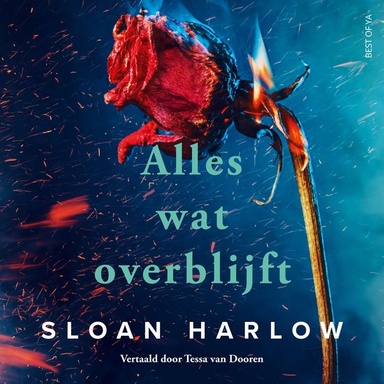 Alles wat overblijft