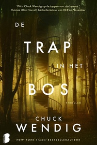 De trap in het bos