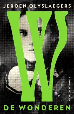 De wonderen