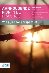 Dutch language eBook collection - Aanhoudende pijn in de praktijk