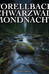 Forellbach Schwarzwald Mondnacht: 8 Stunden Klares Bachwasser Ueber Felssteine im Schwarzwald