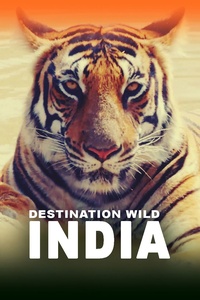 Destination Wild: India