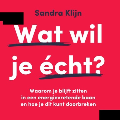 Wat wil je écht?: Waarom je blijft zitten in een energievretende baan en hoe je dit kunt doorbreken