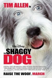 The Shaggy Dog